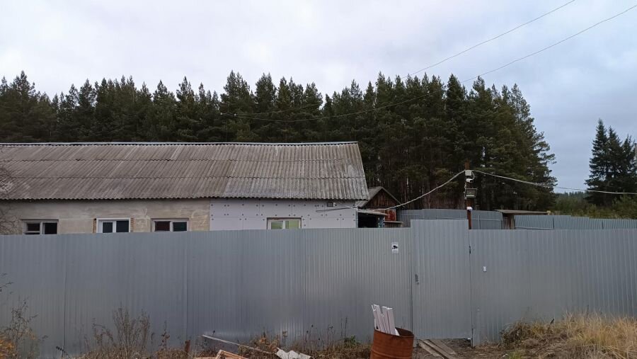 Приют удачно расположен - горожане не испытывают беспокойства от такого соседства.