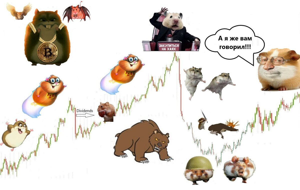 Жизненный цикл биржевых хомяков 