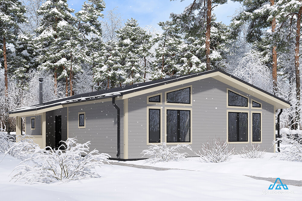 Дом Мир от компании Домоведовъ