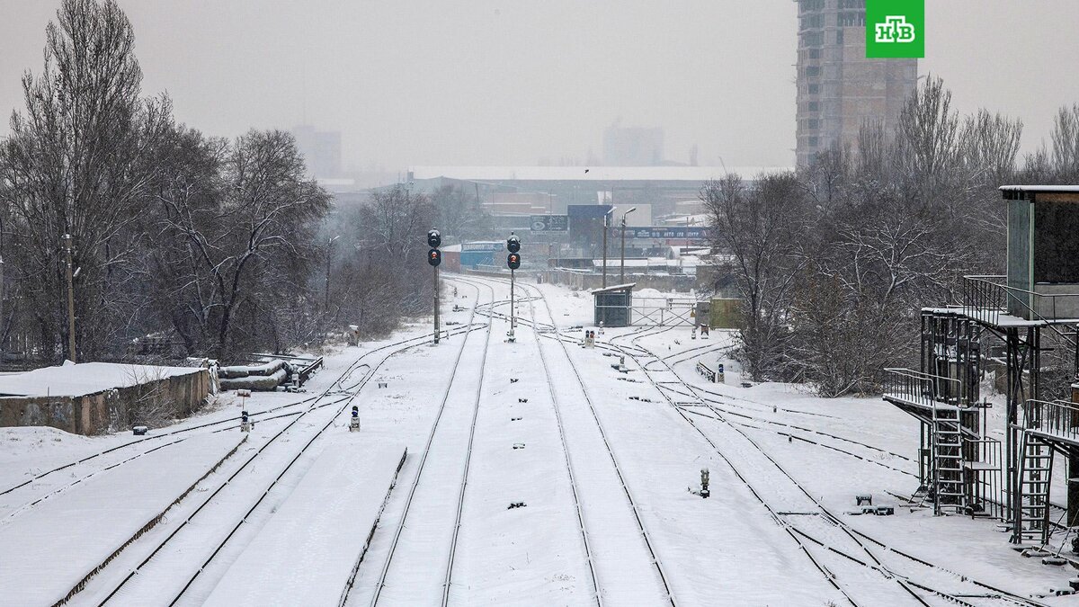    Фото: РИА Новости © 2023, Табылды Кадырбеков