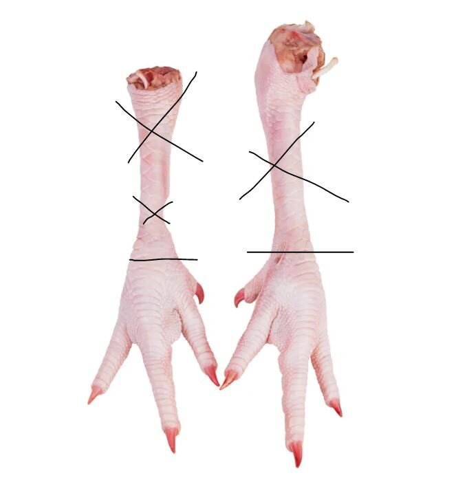 То, что зачеркнуто - не даю собакам