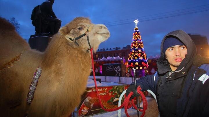 Фото: globallookpress.com / Zamir Usmanov