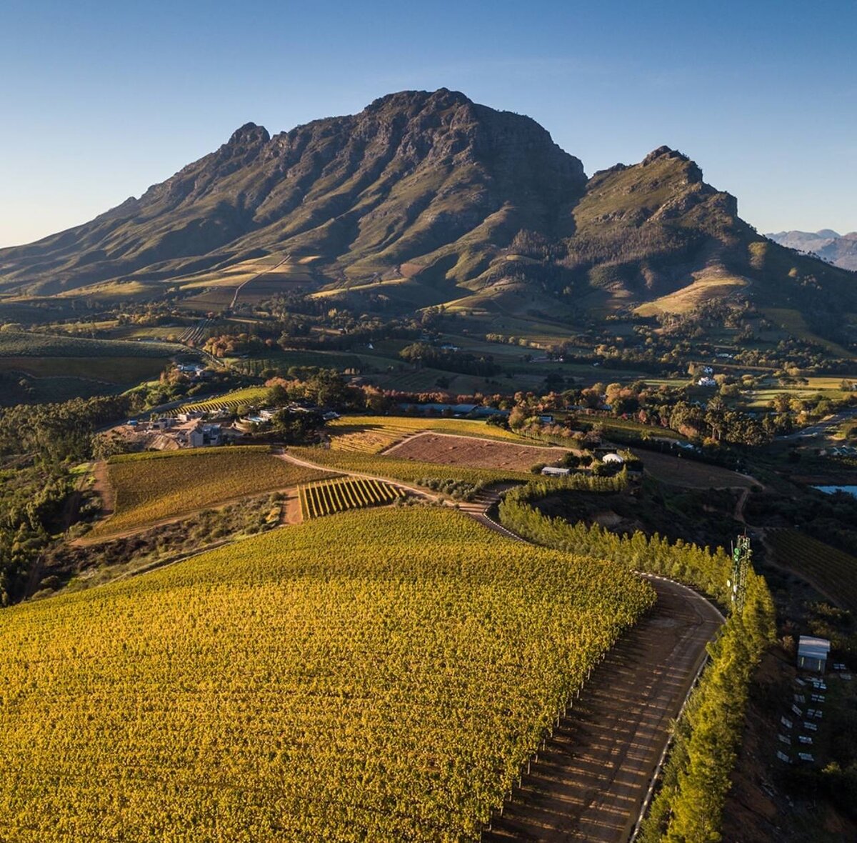 Стелленбош юар. World best Vineyards. Виноградники на склоне холмов у моря. Sofia Vineyard.