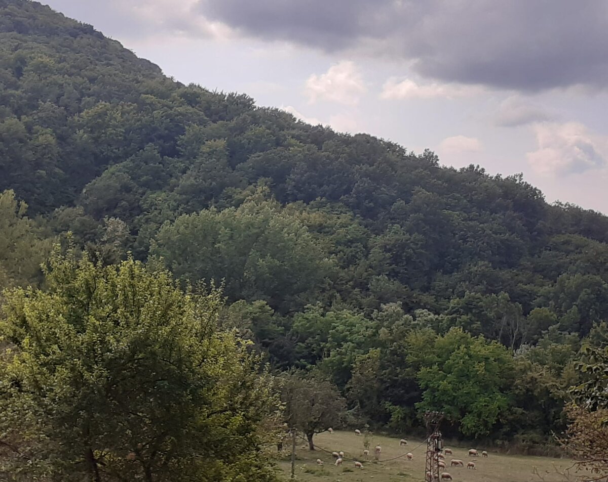 Поморавле. Окрестности монастыря Манасия.