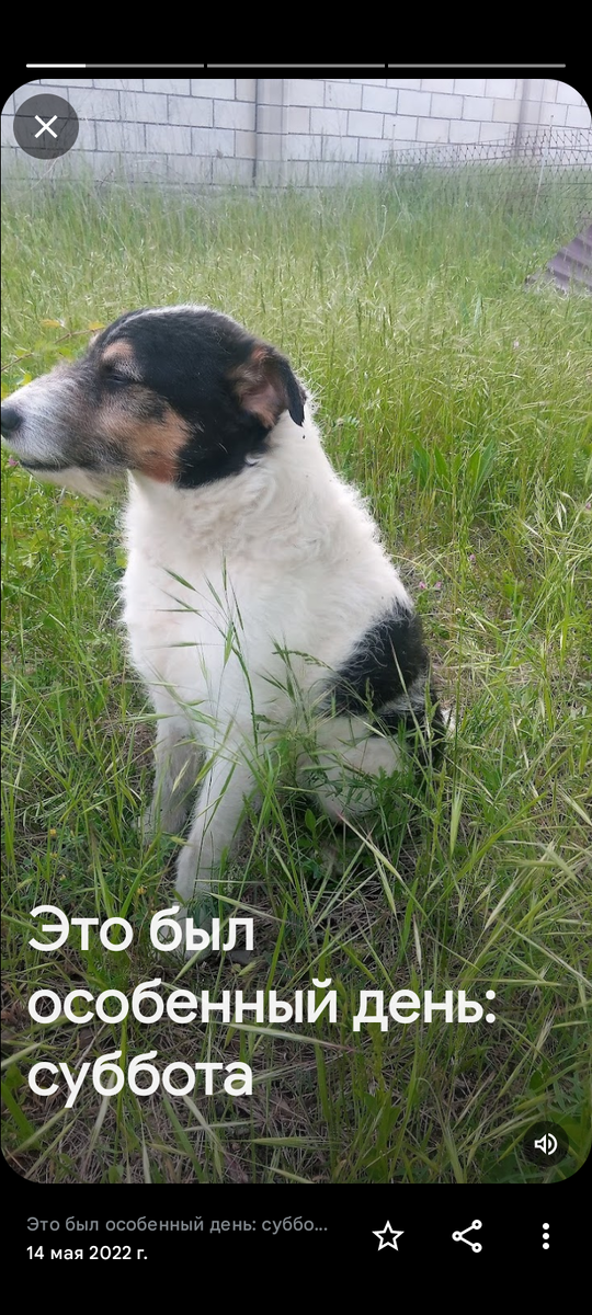 Наш Малыш, мы будем помнить тебя всегда, прости, что мы, не спасли тебя