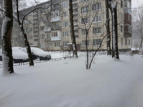    Фото ИА «Росбалт»