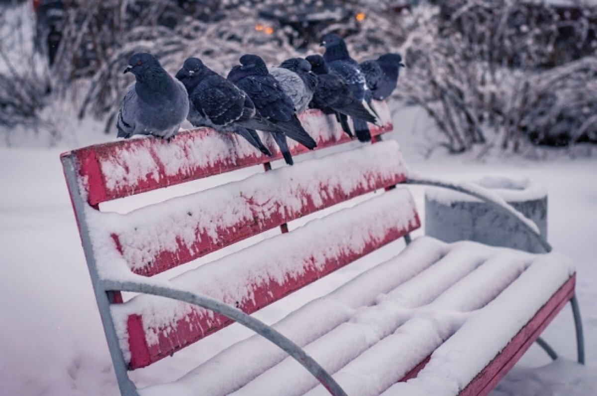    В эти выходные в Новосибирске температура опустится до -27