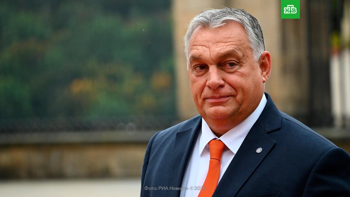    Орбан: начав переговоры о вступлении Украины, ЕС совершит ошибку