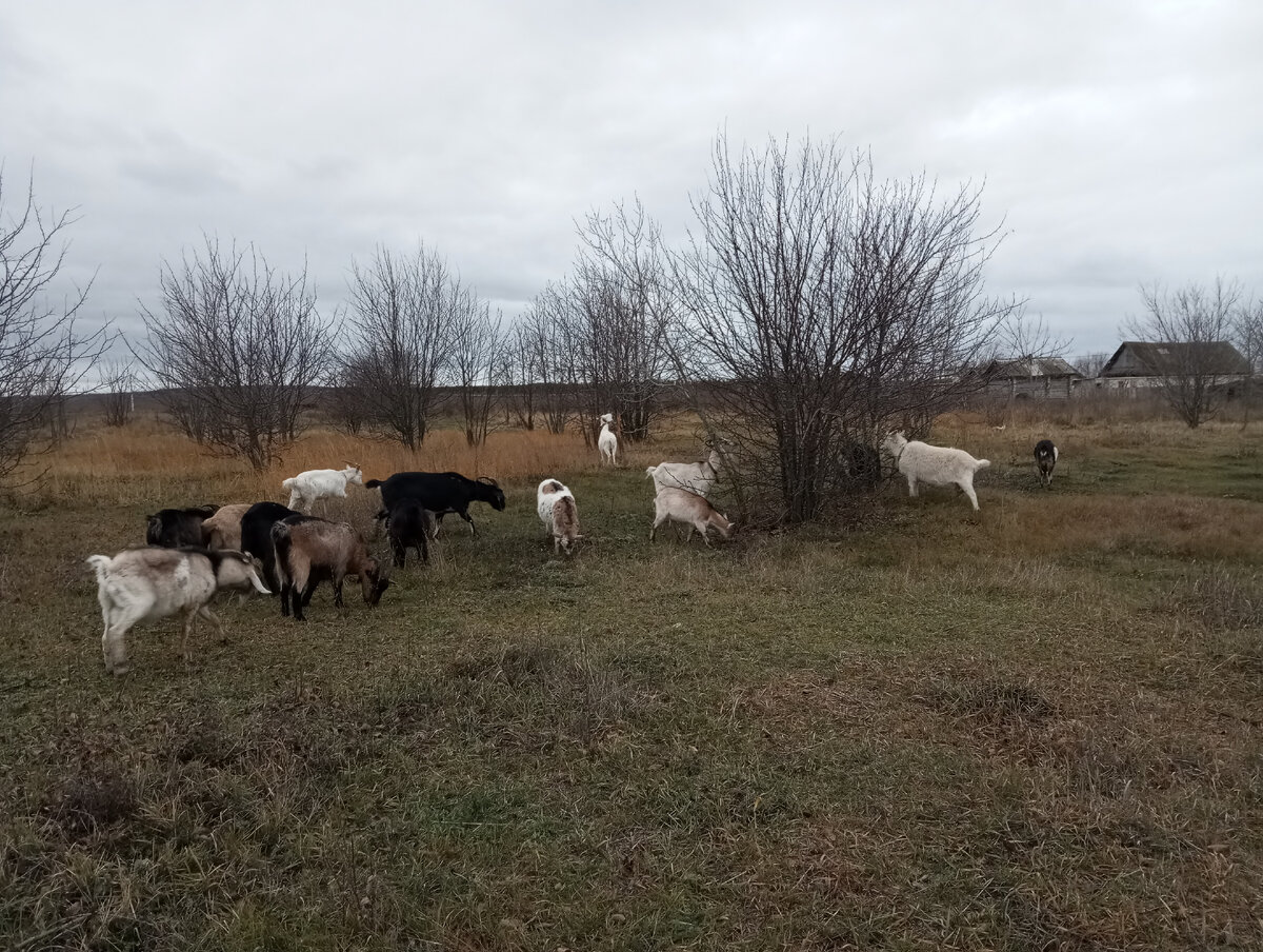 Фото из личного архива