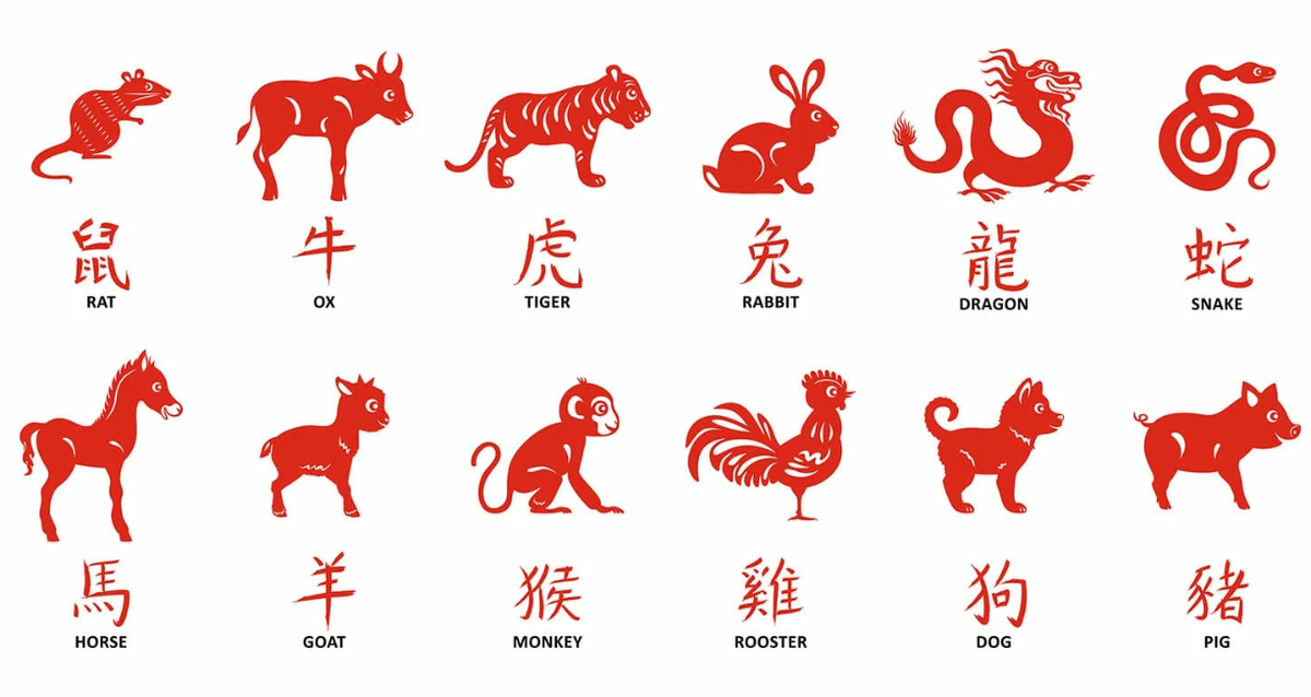 Китайские названия лет. Символы лет китайскими иероглифами. Символы китайского нового года. Символы китйскогонового года. Китайские символы года.