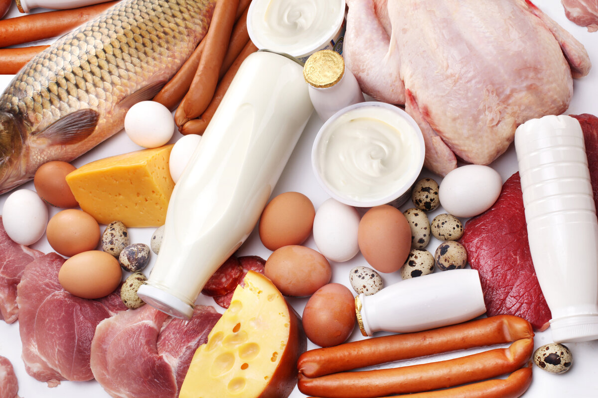 Продукты-источники холестерина, фото - Яндекс Картинки