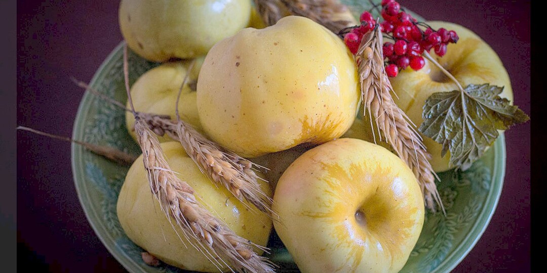 Вкусные моченые яблоки: простейший рецепт приготовления моченых яблок на ржаной или пшеничной соломе