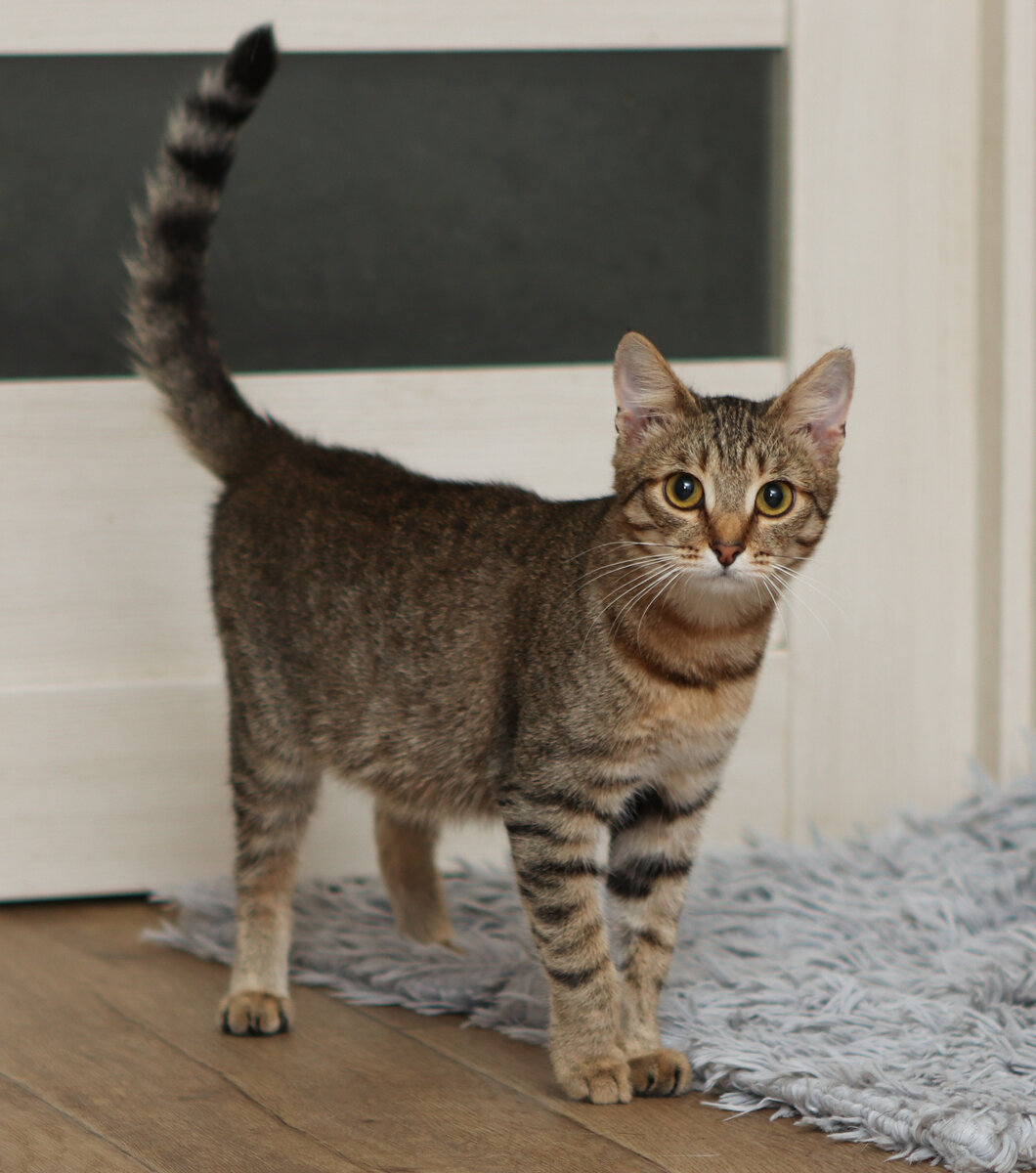 Долька и по размеру маленькая, как знали её так назвали