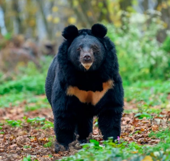 фото из открытого доступа