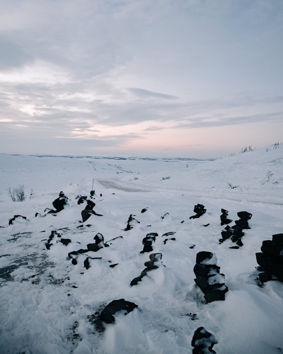 Полярная ночь