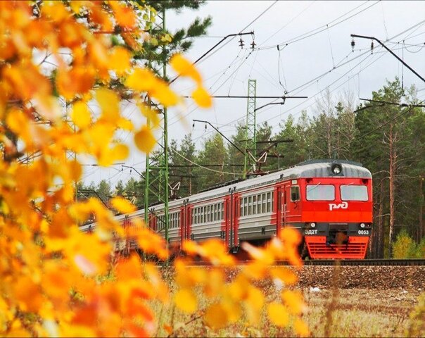 Яндекс. Картинки
