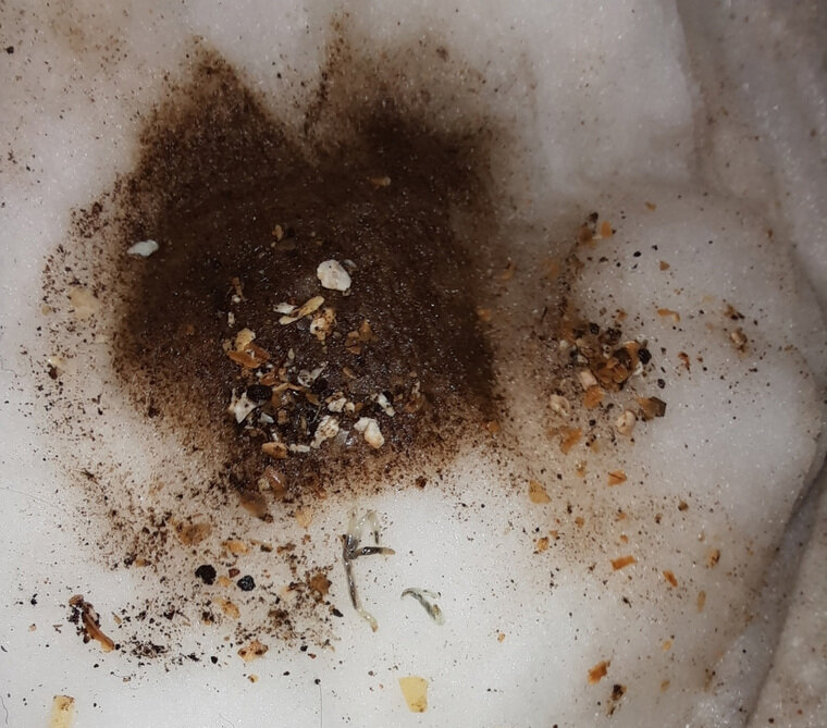    Так выглядит содержимое фильтра после трех минут его использования