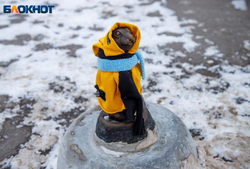    Милота: волжане утеплили фигурки сусликов, связав им шарфы и шапки