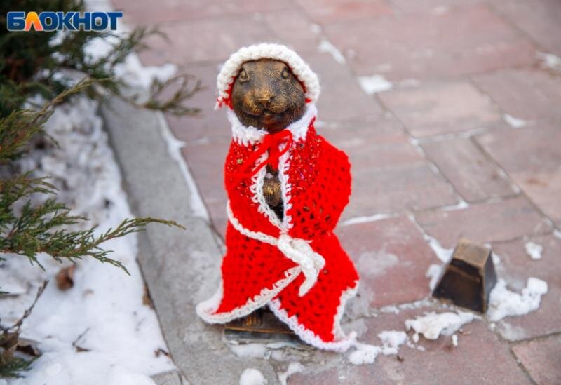     Милота: волжане утеплили фигурки сусликов, связав им шарфы и шапки