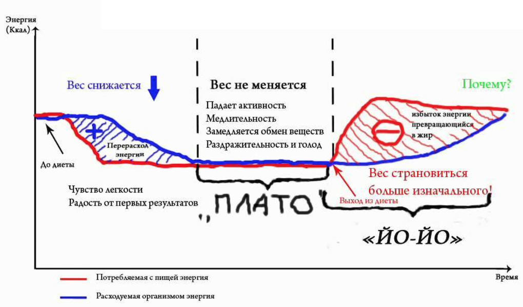 Плато физиология. Эффект плато в похудении. Плато веса при похудении. Плато в снижении веса. Плато как сдвинуть вес при похудении.