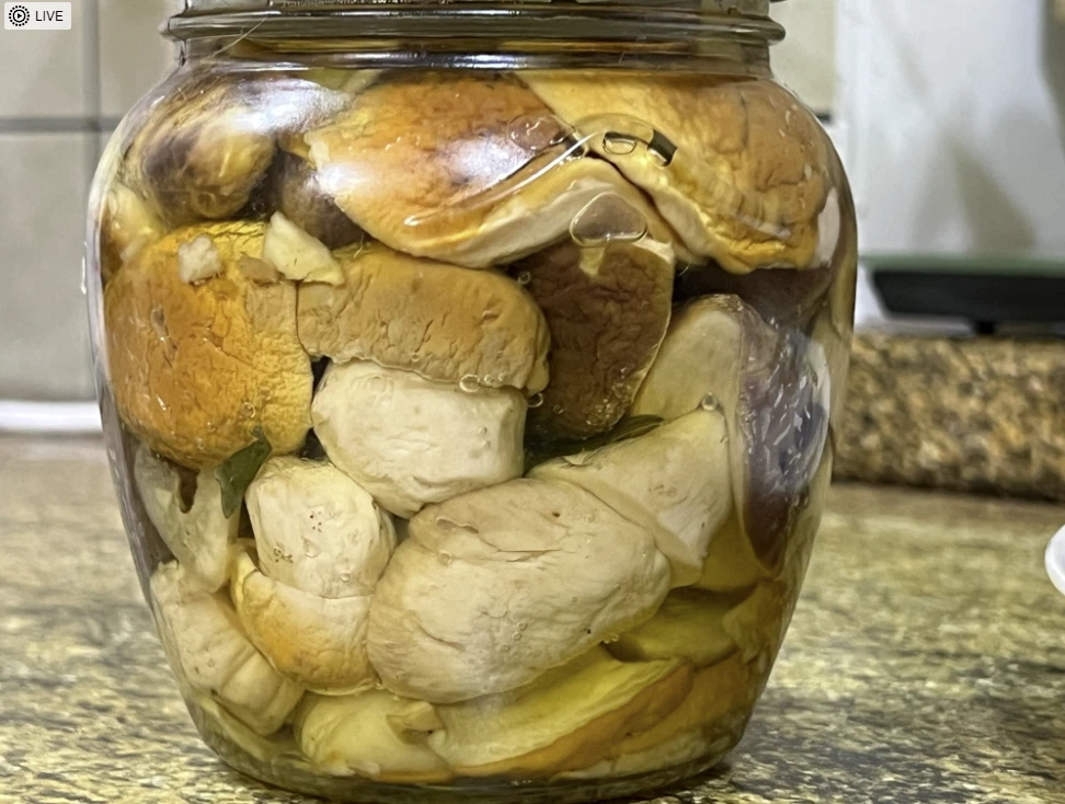 Это самая первая банка грибов по-итальянски. Самая красивая, потому,что я еще не сильно завяливала грибы.