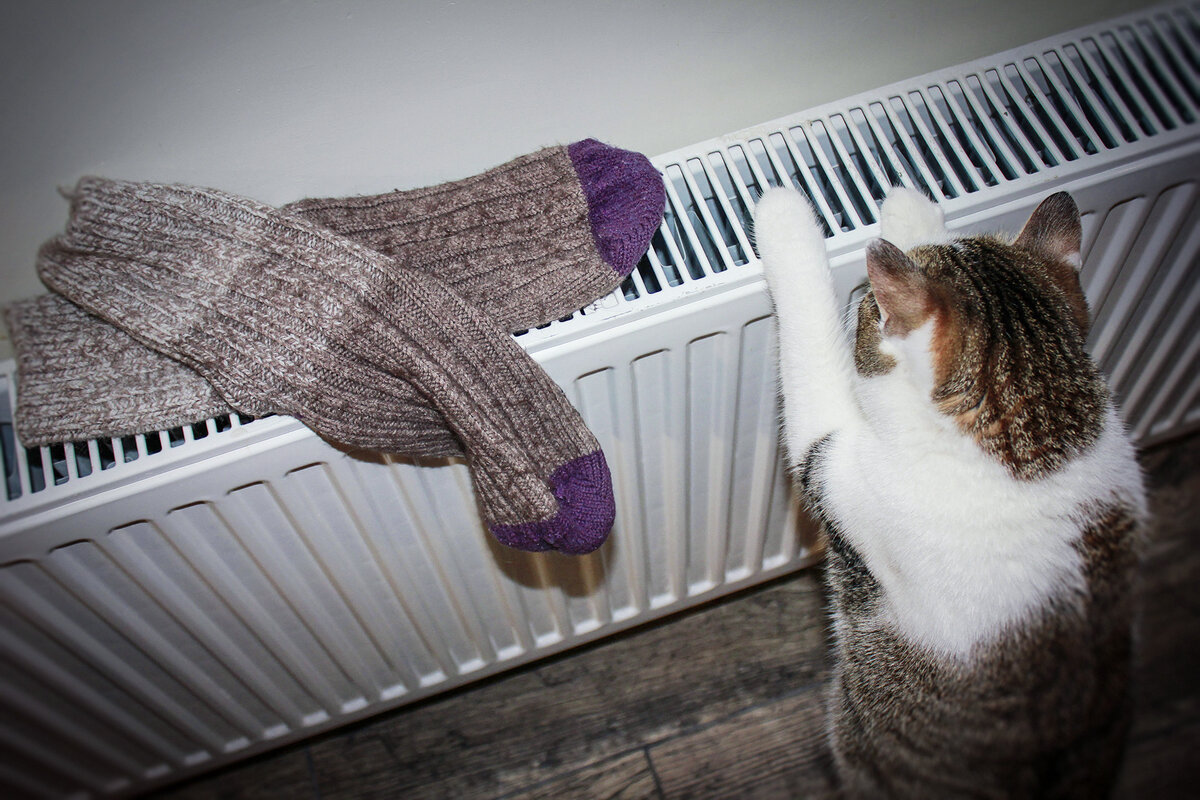 источник Яндекс картинки