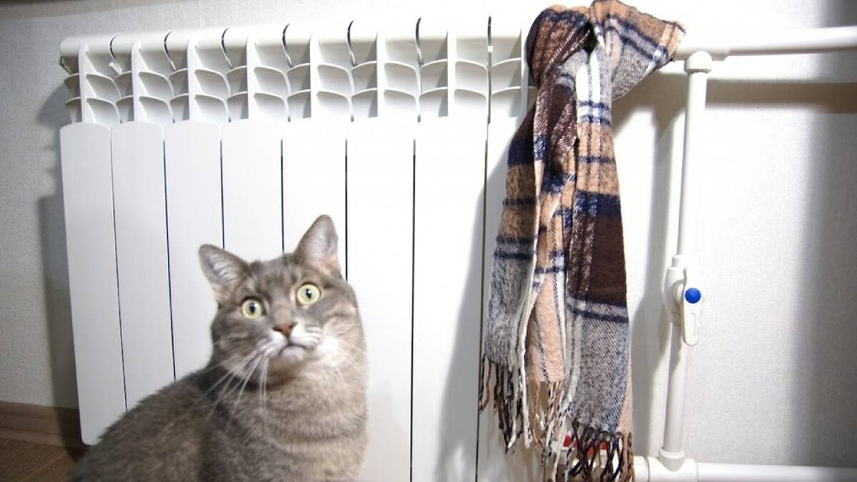 источник Яндекс-картинки