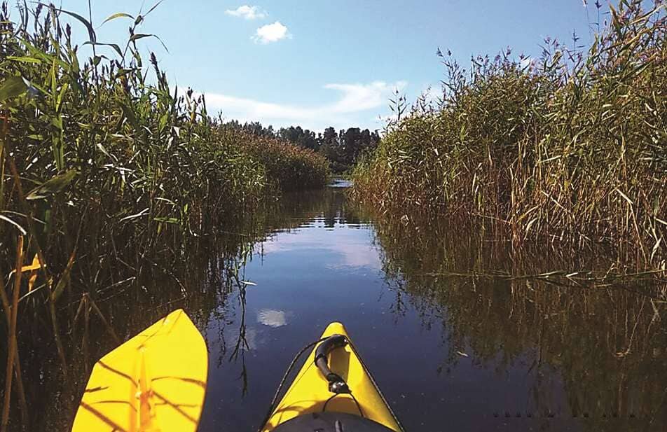маршрут бесплатного трамвая от ладожской. маршрут 123 маршрутки спб. автобус от дыбенко до ладожского вокзала. ладожская маршрут. 123 автобус остановка автобуса на ладожском вокзале спб.