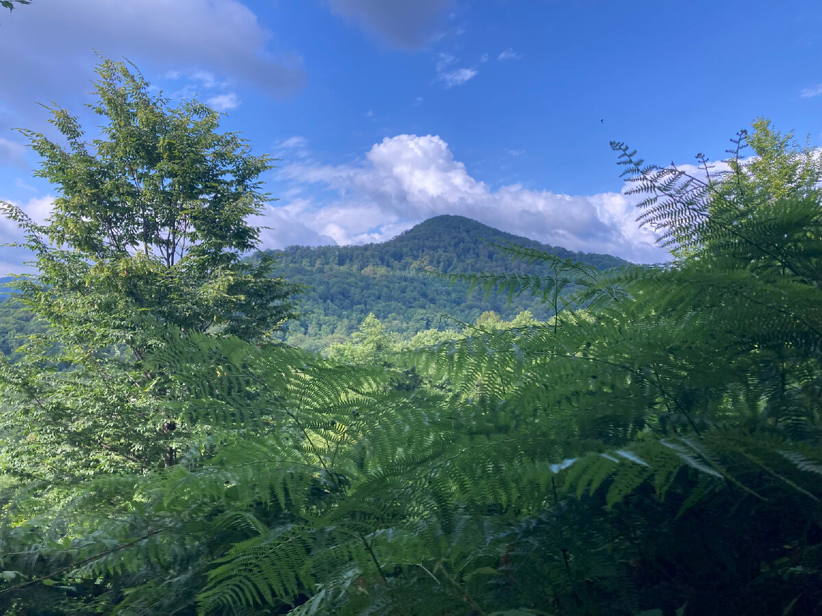 поход в горы текст. сочинение на тему поход. организация туристического похода. безопасный поход. сочинение про поход.