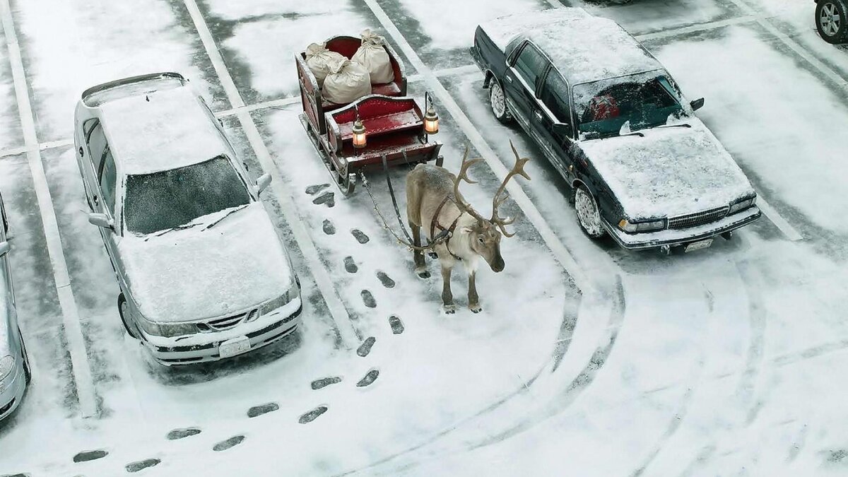 https://wp-s.ru/wallpapers/0/32/410830859830630/santa-priporkoval-sani-mezhdu-mashin.jpg