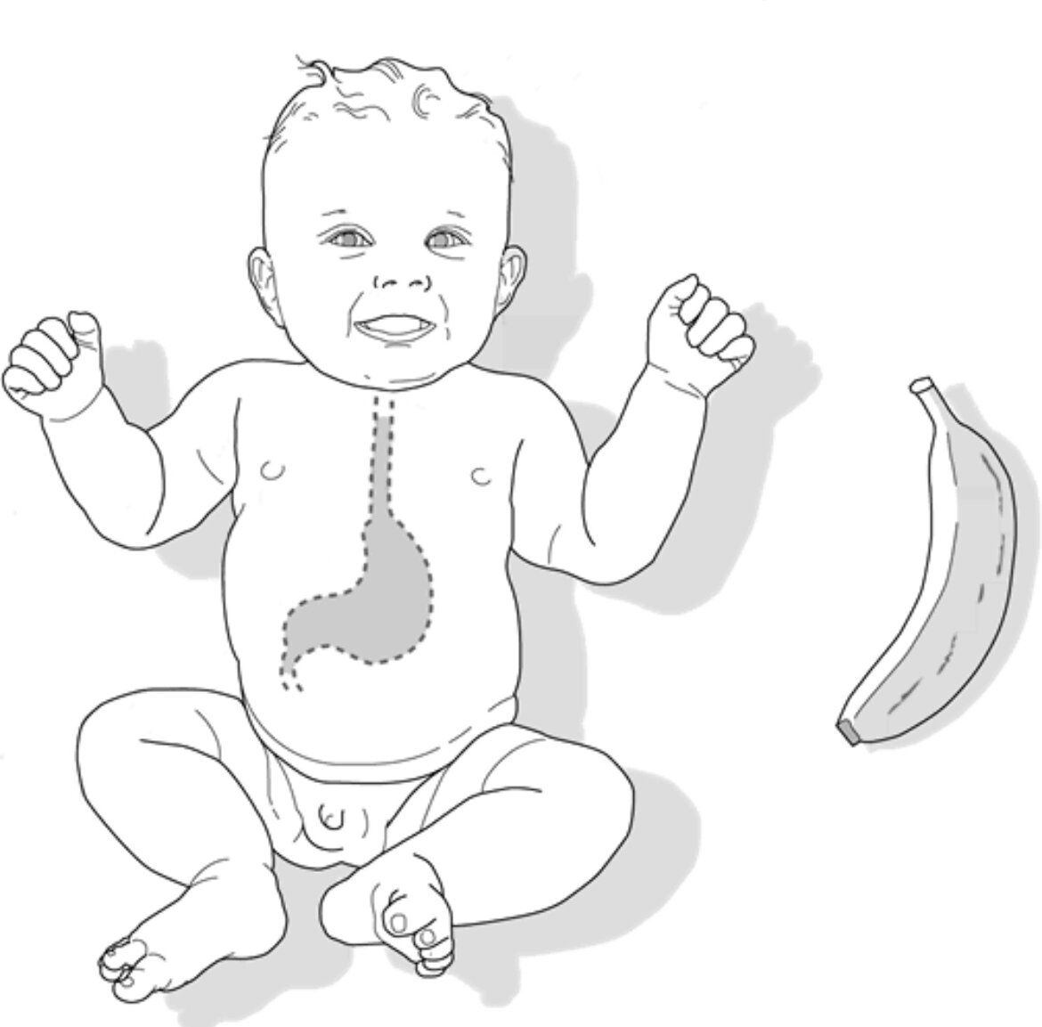 Из книги. Девятимесячный малыш и банан в масштабе. Куда же ему поместится?