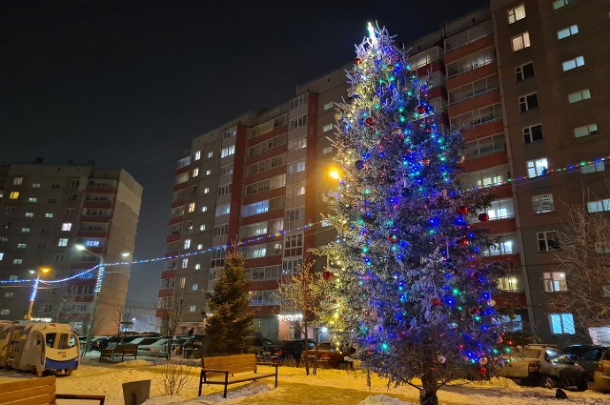    В Центральном районе Красноярска установят 82 новогодние ёлки во дворах