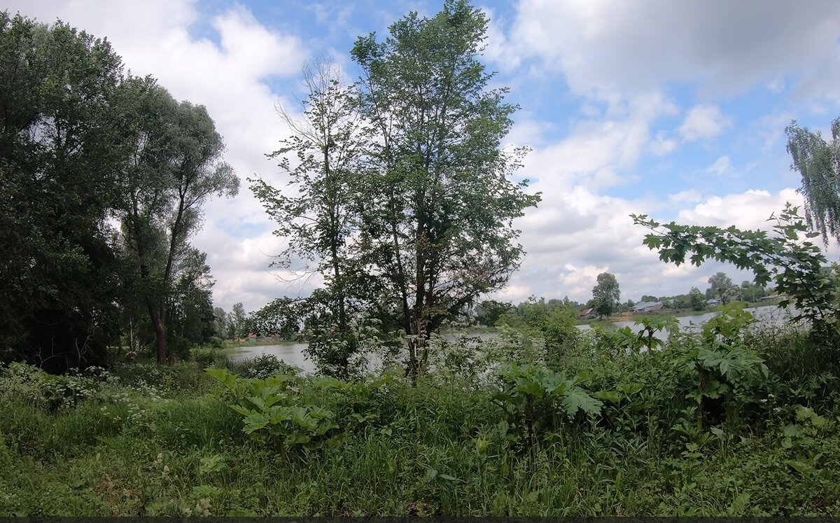 фотография 2020 года. Вид на озеро