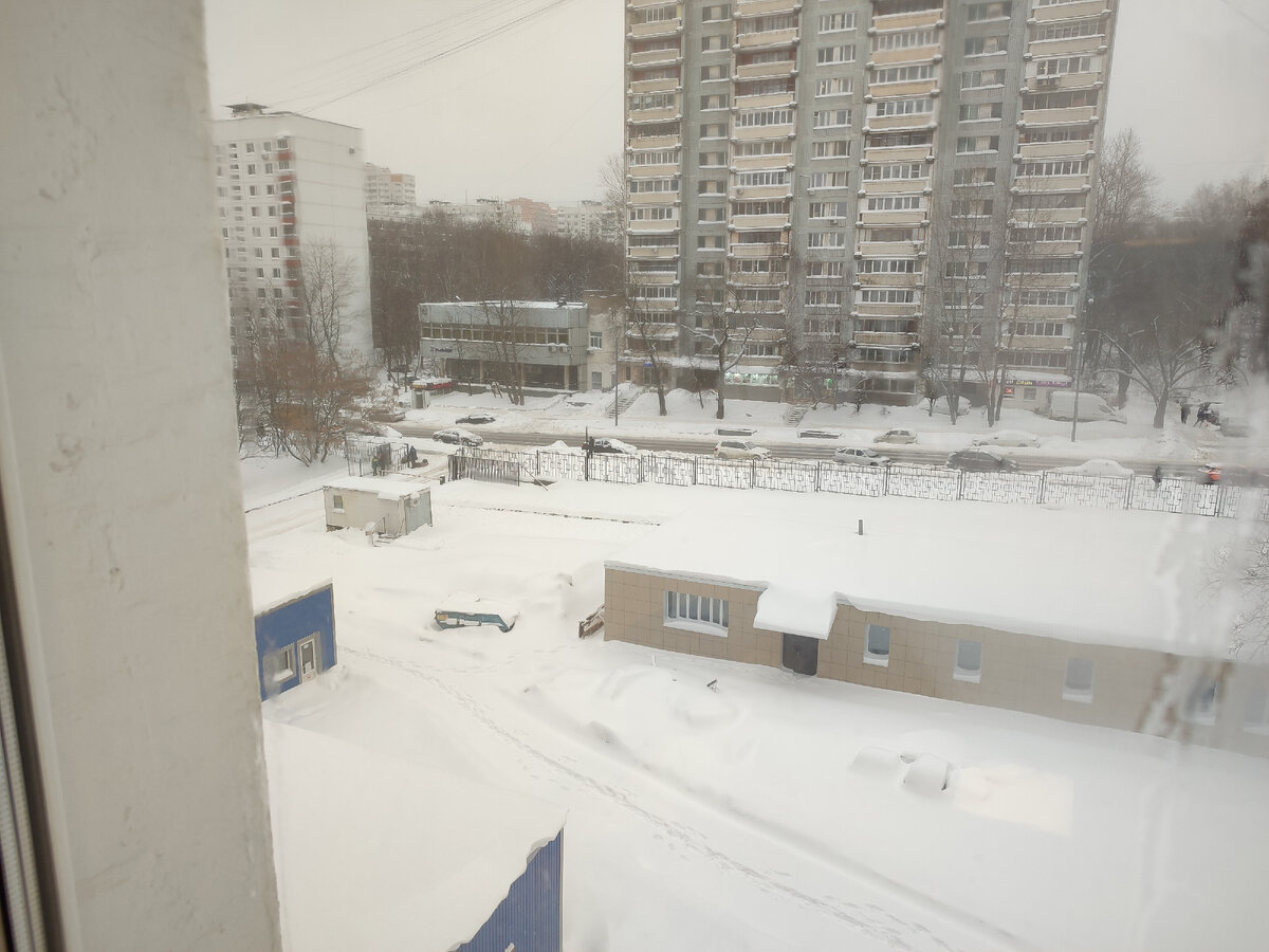 Всё в снегу. Вид из окна преподавательской.
