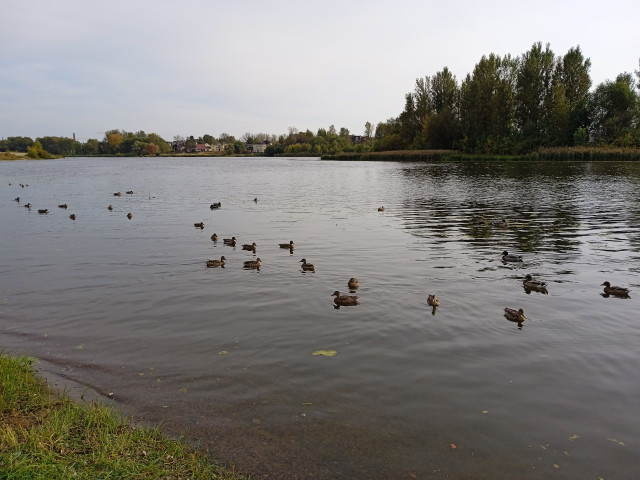 Фото: perfectstock.ru