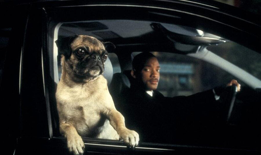 dzen.ru / Кадр из фильма «Люди в черном 2»