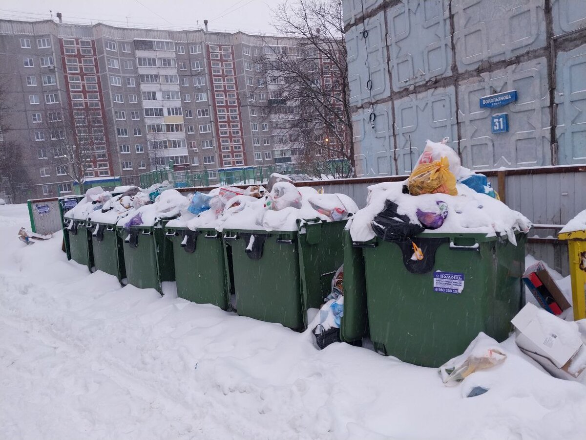 Экопрому» и УК грозит перерасчет и штрафы за заваленные мусором дворы в  Липецке | Вести Липецк | Дзен