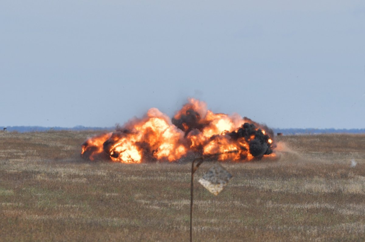    В Донбассе продолжает гореть немецкий «зоопарк».