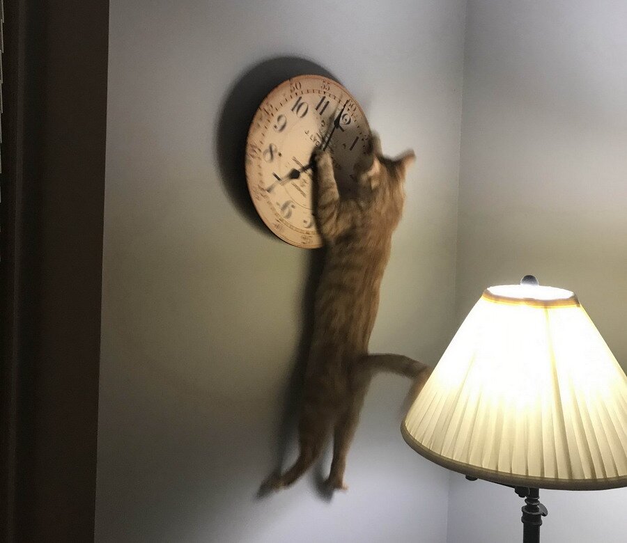 источник Яндекс-картинки