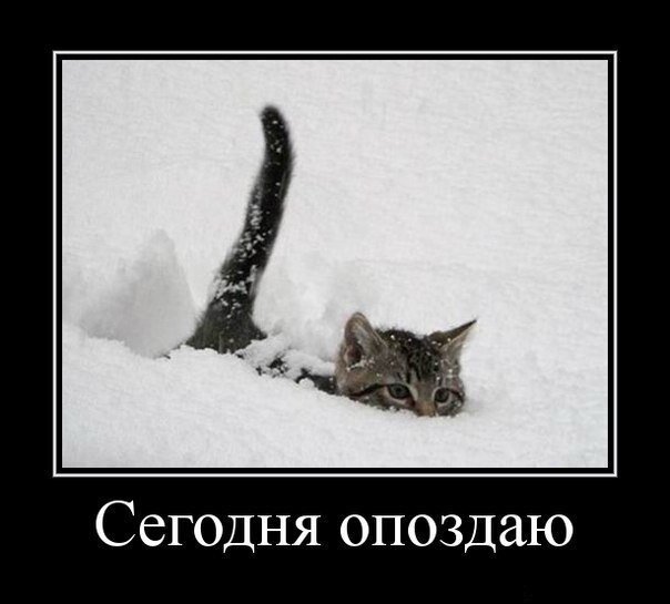 источник Яндекс-картинки