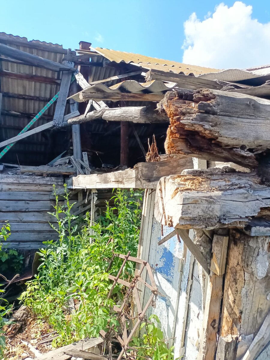 а это то, что осталось от бабушкиного дома...