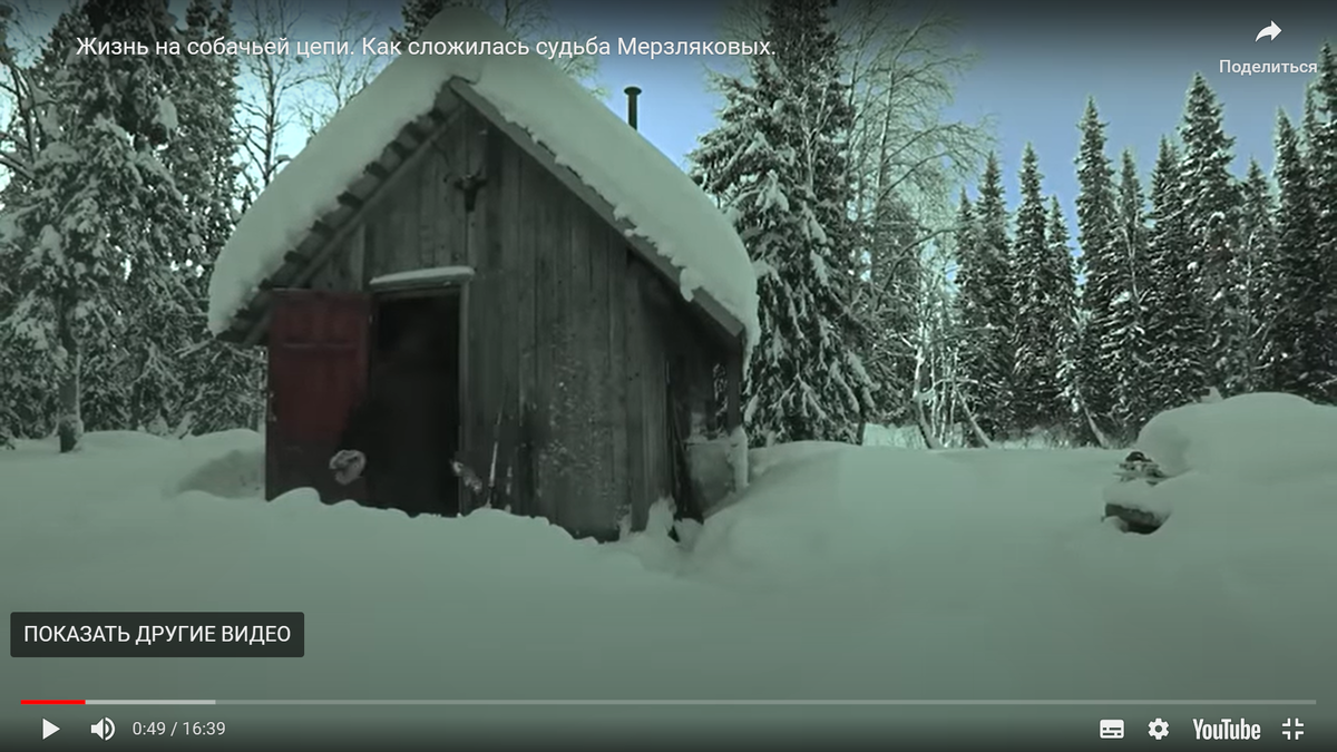 Кадр из фильма о Дуне Мерзляковой, одна из хозяйственных построек на заимке, где прошло ее детство и юность. Вокруг на многие километры дремучая безлюдная  тайга. 