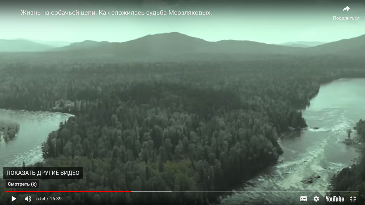 Бескрайнее море тайги. В этих местах до сих пор стоит где-то заимка Мерзляковых