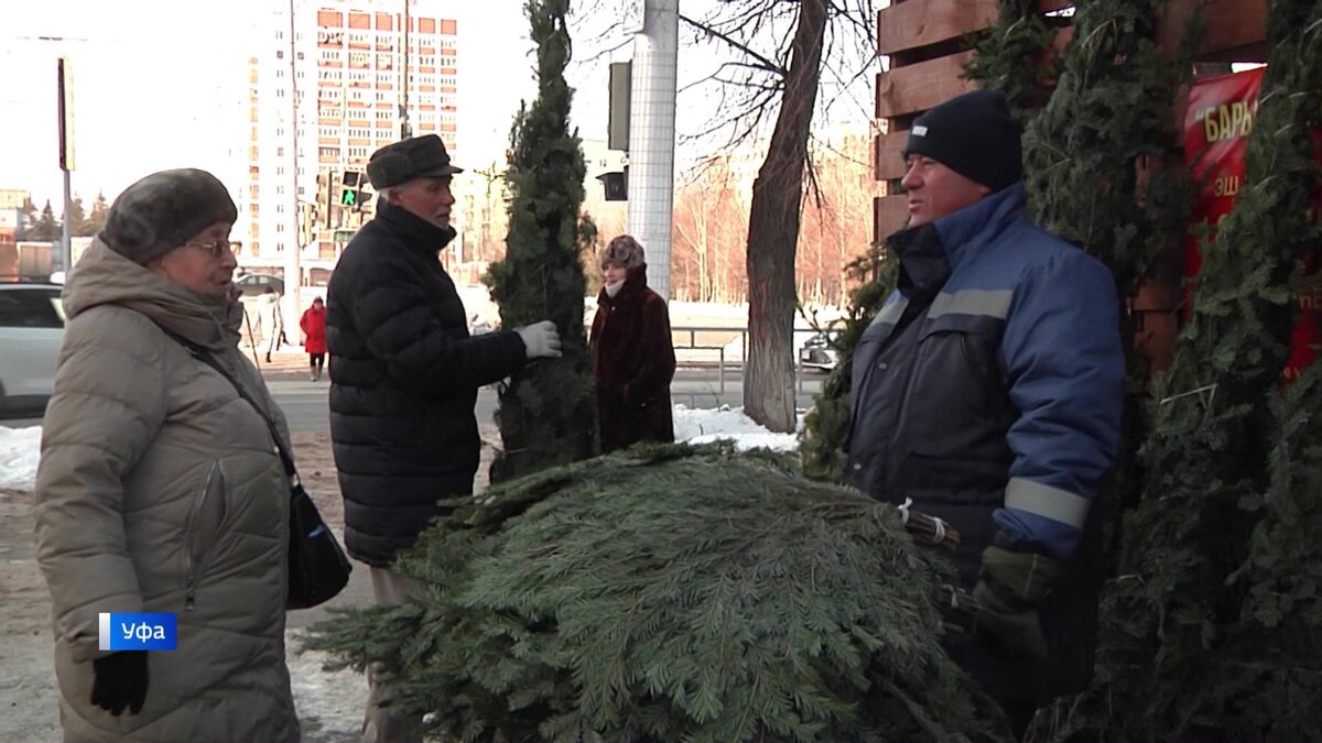    "Вести" узнали, в какую цену в этом году обойдется уфимцам новогодняя елка