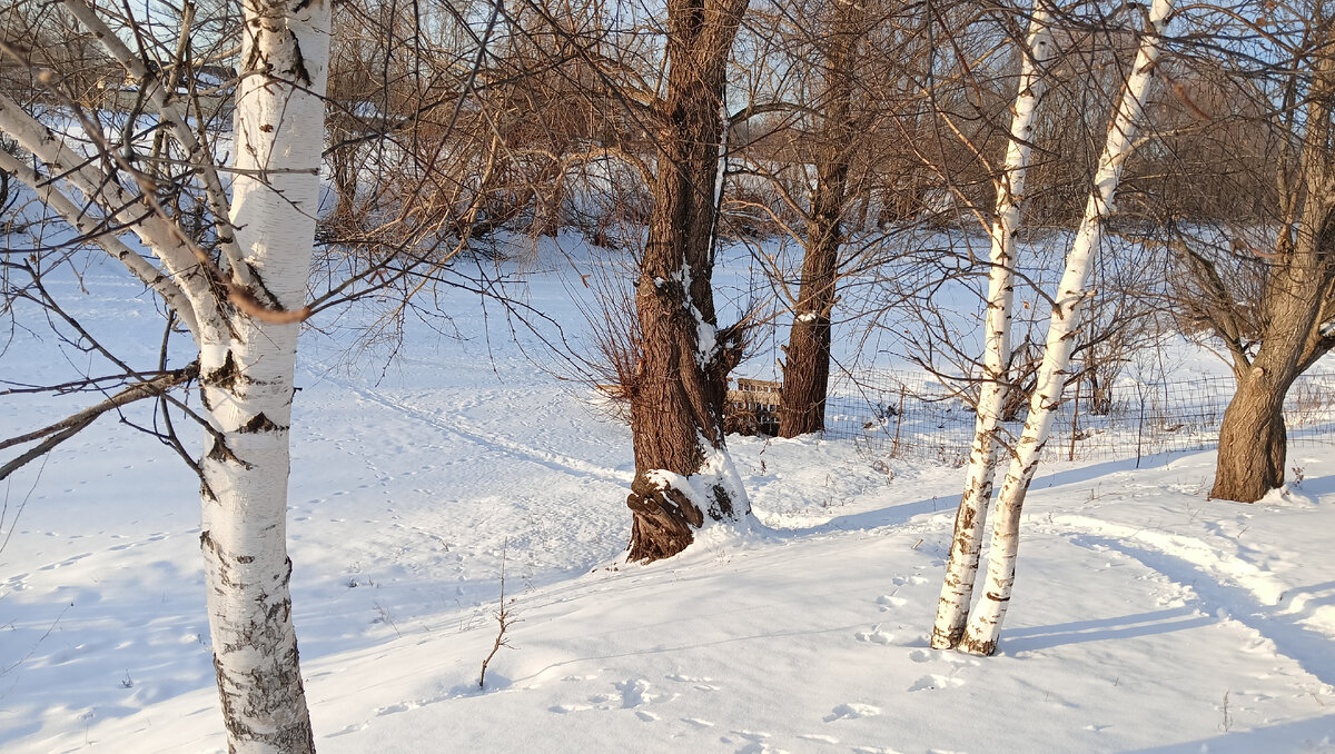 Красивое, тихое и уютное место в селе это самое лучшее что может быть. 