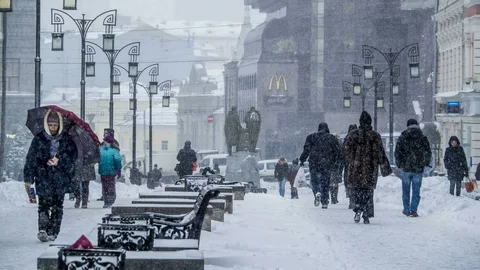 Яндекс. Картинки