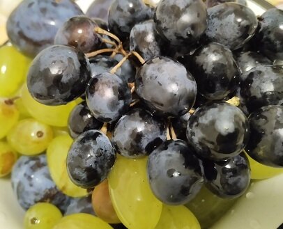 Фотография из личного архива автора