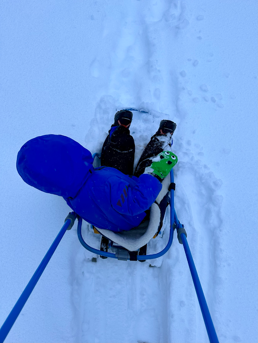 Утром у нас была вообще жесть. Это во дворе, санки все в снегу.