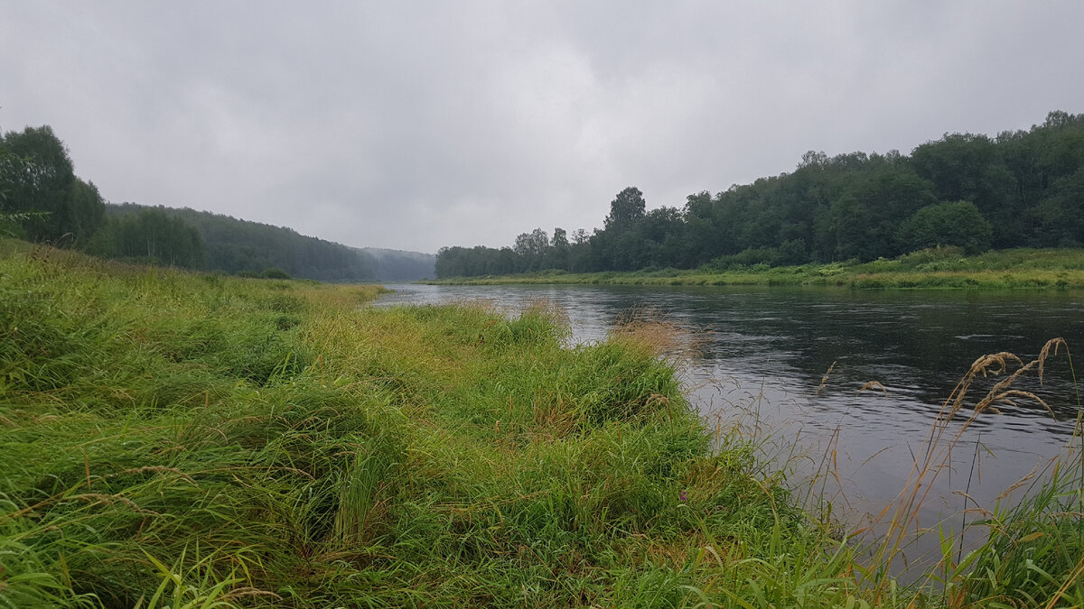 Волга в районе Бобронниково, где когда-то велись тяжелейшие бои.