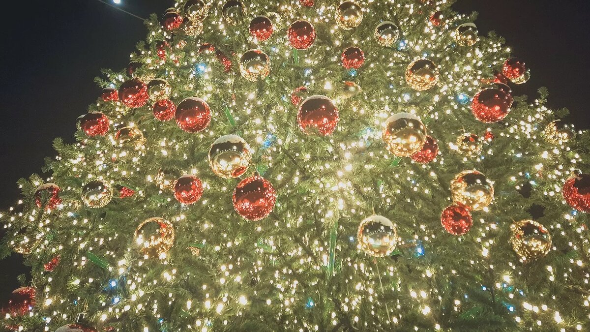     Ранее сообщалось о том, сколько новогодних елок украшают карельскую столицу. Подробностями с редакцией КарелИнформ поделились в администрации ПГО.